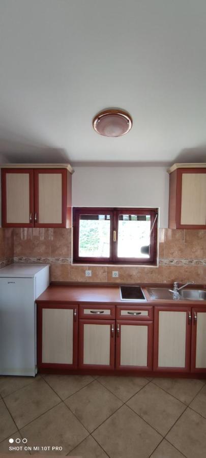 Apartments Tara أولتْسي المظهر الخارجي الصورة