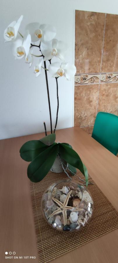 Apartments Tara أولتْسي المظهر الخارجي الصورة